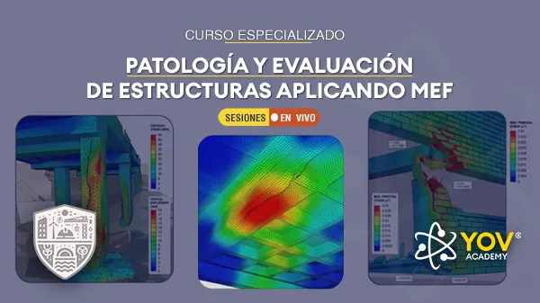Patología y Evaluación de Estructuras Aplicando MEF